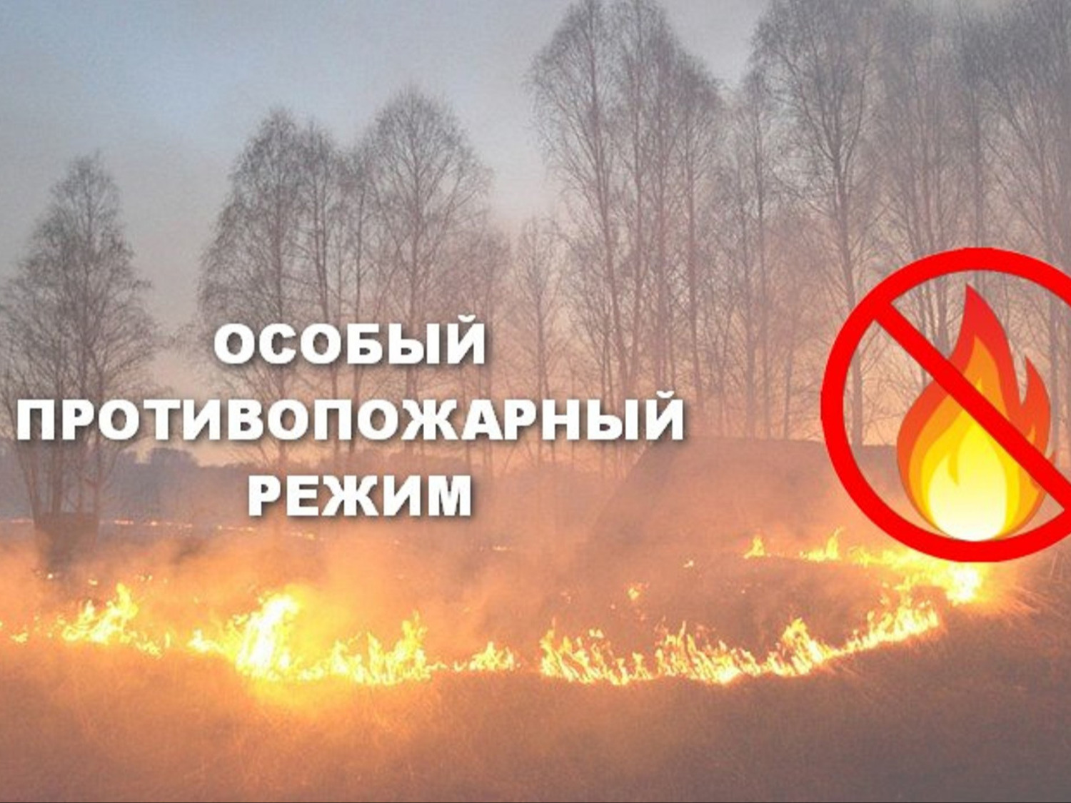 Особый противопожарный режим в Енисейском муниципальном округе.