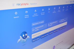 Получение муниципальных услуг в электронном виде (через портал ГОСУСЛУГИ).